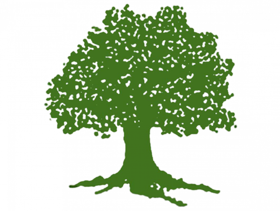 झापा कांग्रेस अपडेट : ८५ मतले कट्टेलको अग्रता कायमै