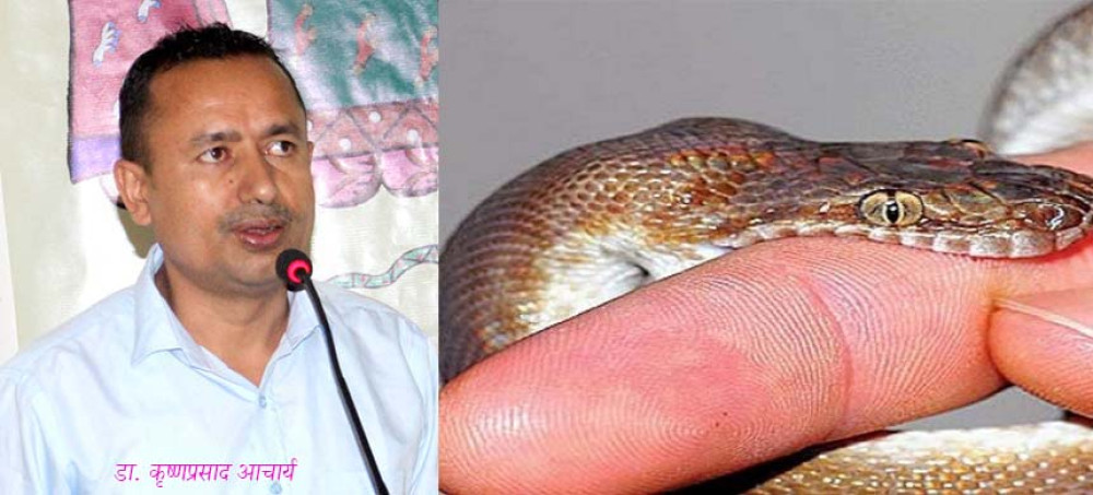 जानीराखौँ सर्पले टोकेमा के गर्नुहुन्छ के गर्नुहुँदैन ?