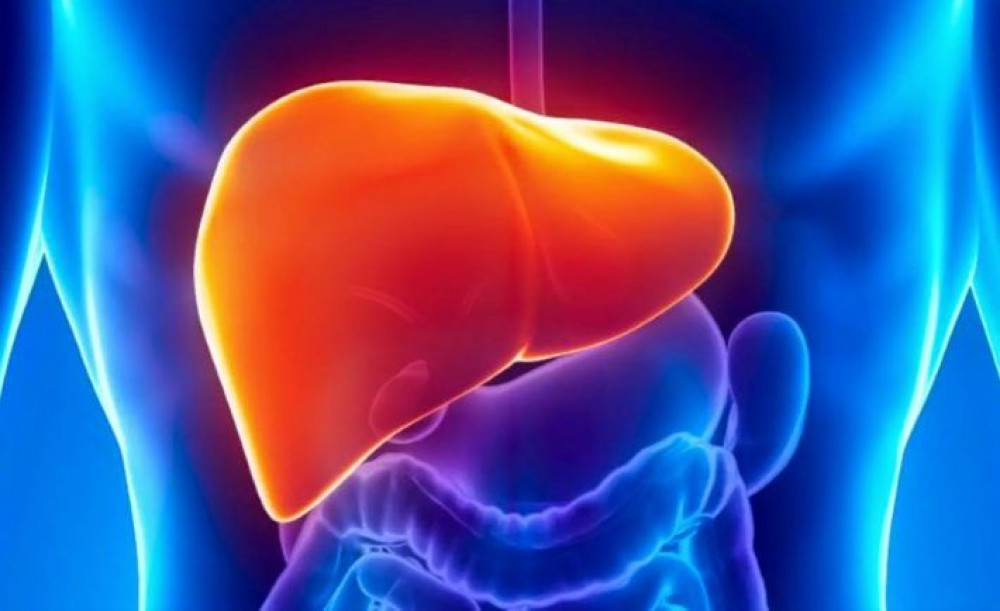 ‘एक जीवन, एक कलेजो’ भन्ने नारासहित विश्व हेपाटाइटिस विरुद्धको दिवस मनाइँदै