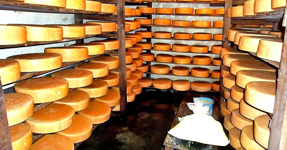 दुग्धजन्य पदार्थ बंगलादेश निकासीका लागि पहल शुरु