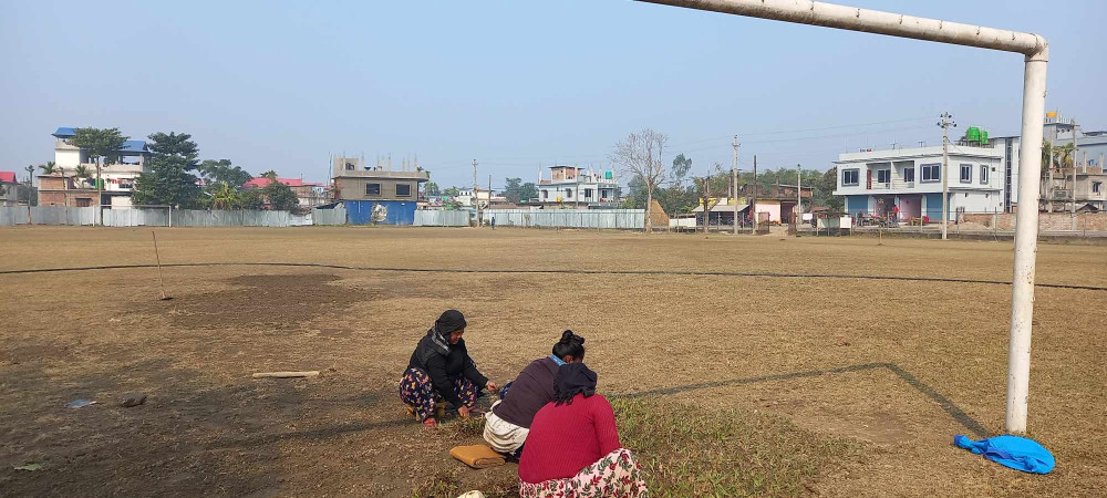 डोमालाल रंगशालाको खेलमैदानको स्तरोन्नती हुँदै