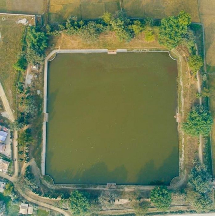 तिज भिडियो प्रतियोगिता हुँदै