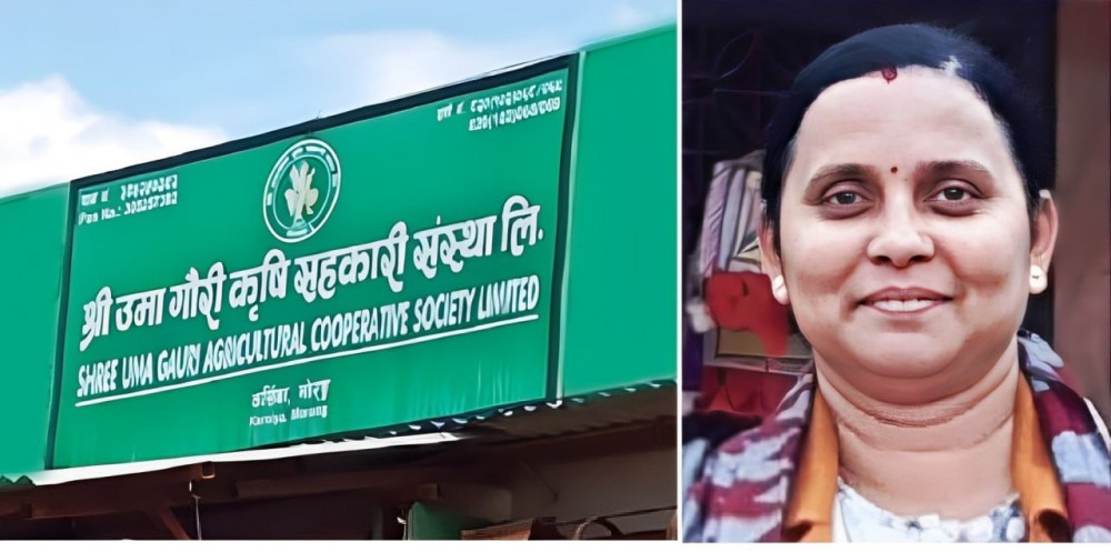 उमागौरी ठगी प्रकरण : कोइरालालाई १० लाख धरौटी माग्ने  जिल्लाको  आदेश उच्चले उल्ट्यायो