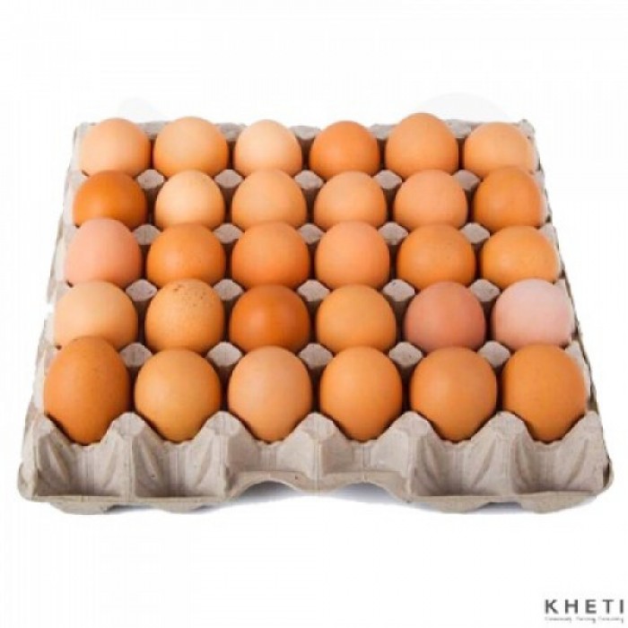 अण्डाको मूल्यमा भारी गिरावट