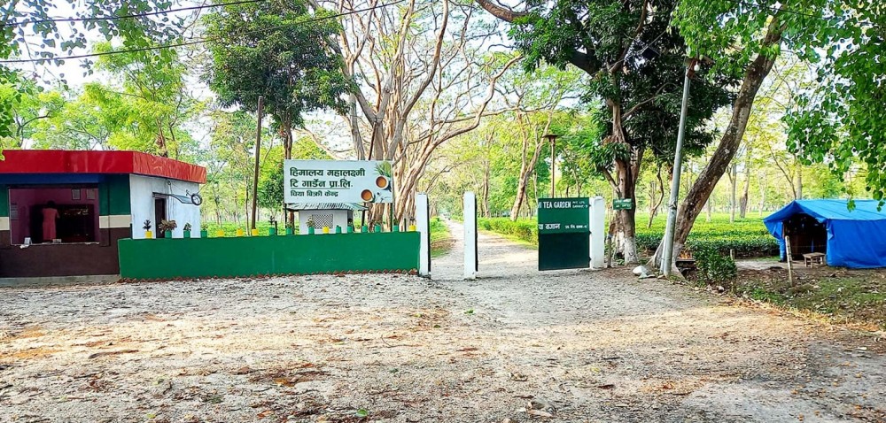 ज्ञानेन्द्र शाहले दमकलाई तिरेनन् १० करोड बढी कर